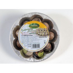Escargot Tres Gros X12