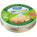 C&Alice Ssa Pomme 8X100G