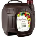 Cubi 5L Vin de pays De Loire Gamay Rge 5L