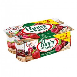 Y.Fr.Rge X8 Dt2Gr Yoplait
