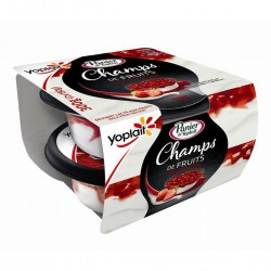 Yopl.Pan.Champs Fraise 2X150G