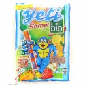 580G Sorbet Bio Yetigel