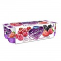 8X125G Yaourt Taillefine Fruits Rouges