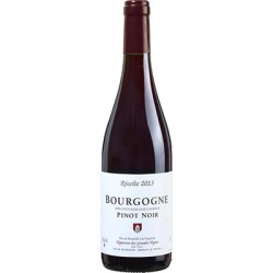Bourgogne Pinot Noir 2013