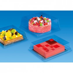 210 Pltx / Cloche 19X19X H2 Cm