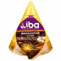 Iba Meche Madagascar
