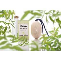 Brioc.Savon Dx Lt Vervein200Gr
