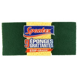 Eponge Grattante Stop Graisse X8