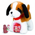 Box 40 Saint Bernard 55G