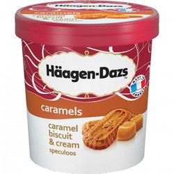 Hd Pot Caramel Biscuit 430G