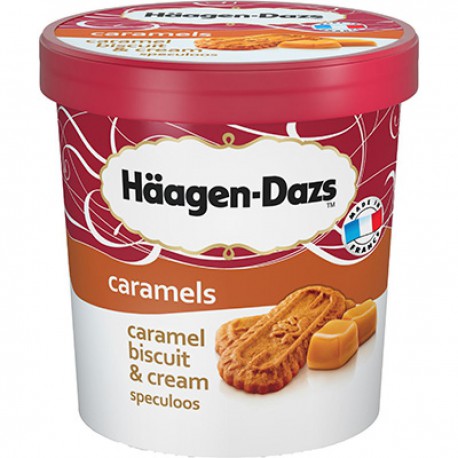 Hd Pot Caramel Biscuit 430G