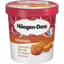 Hd Pot Caramel Biscuit 430G