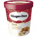 500Ml Glace Macadam Nut Haagen Daz