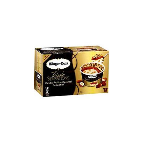 4X86Ml Praline Caramel Seduction Haagen Daz