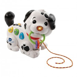 1.2.3 Petit Dalmatien