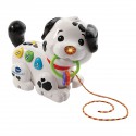 1.2.3 Petit Dalmatien