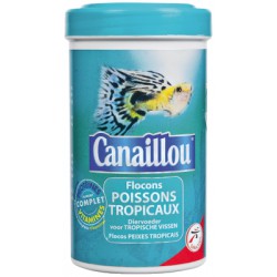 Ramasse 10 Pts Loto Magnetique