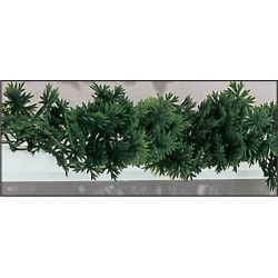 12 Barres Persil 24 Cm : 2M80