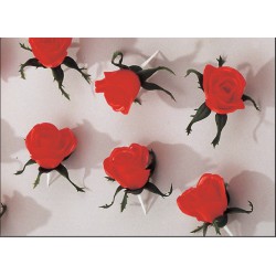 25 Roses Rouge A Piquer