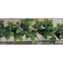 18 Barres Lierre 18X025 : 4M50