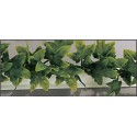 18 Barres Lierre 18X025 : 4M50