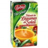 Liebig Pursoup Veloute Legumes Soleil Brique 1L