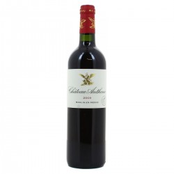 Moulis Rg Cht Anthonic 09