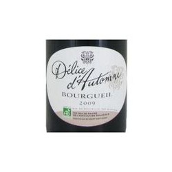 Bio Bourgueil 11Del.Autom.75Cl