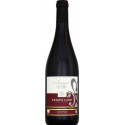 Bio Touraine Gamay 2013 75 Cl