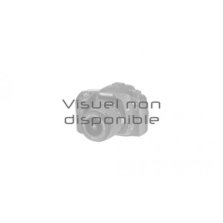 Apiculteurs Associes Miel Tilleul 375G