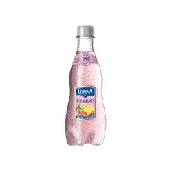 Lorina Limonade Agrumes 42Cl