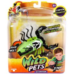 Scorpion Wild Pets
