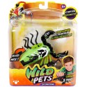 Scorpion Wild Pets