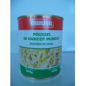 4/4 Pousse Haricot Mungo Charleval