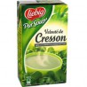 Liebig Pursoup Aux Cressons Brique 1L