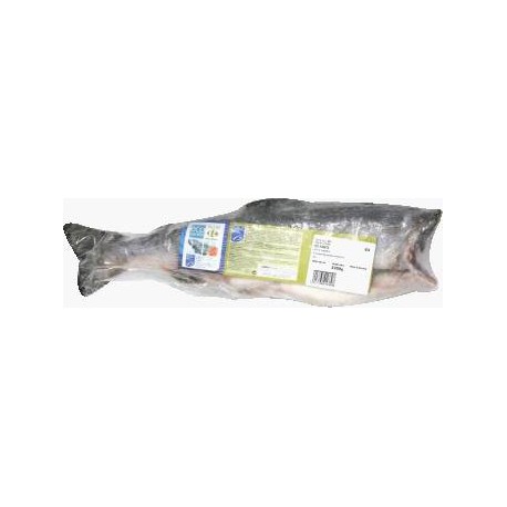 Kg Saum.2/5 Vid S/Tete Crf Eco