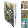 Agenda Scol12X17 384P Sauvage