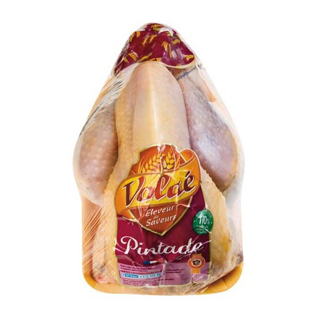 Pintade Ferm Lr Region Nue 1K2