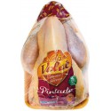 Pintade Ferm Lr Region Nue 1K2
