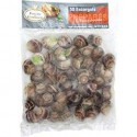 50 Escargots Moyen Helix Lucor