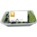 24 Moules Farcies Francaise Gastronomie