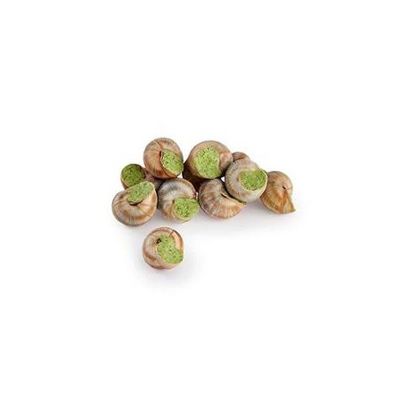110G X12 Escargots De Bourg