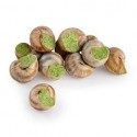 110G X12 Escargots De Bourg