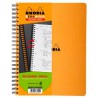 Rhoda Rech Exabook22X29.5 5X5