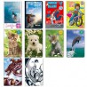 Carnet 9X14 96P 5X5 Fantaisie