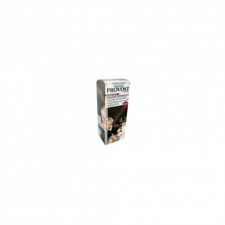 Coloration Chatain Dore+Pinceau Franck Provost