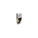 Coloration Chatain Dore+Pinceau Franck Provost