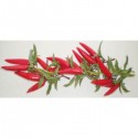 12 Guirlandes Piments Rouge