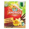 4X90G Gourde Pomme/Vanille Andros