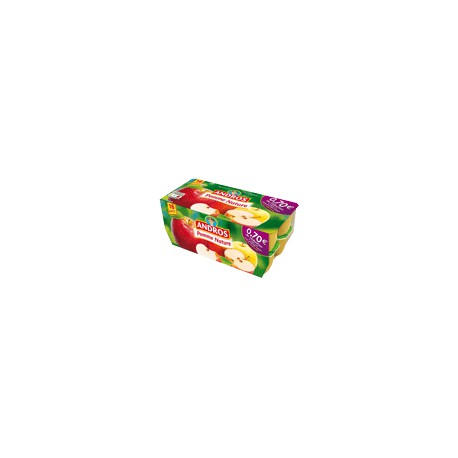 16X100Gr Pomme Nat Brd Andros